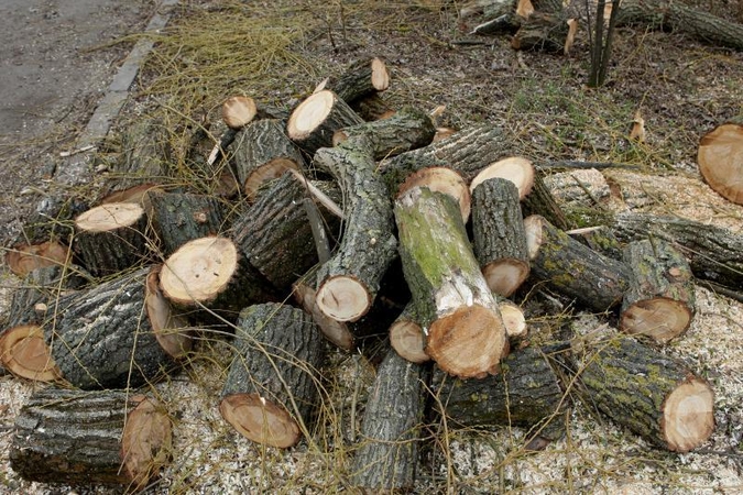 Kauno rajono gyventojams skyrė malkų už 58 tūkst. litų