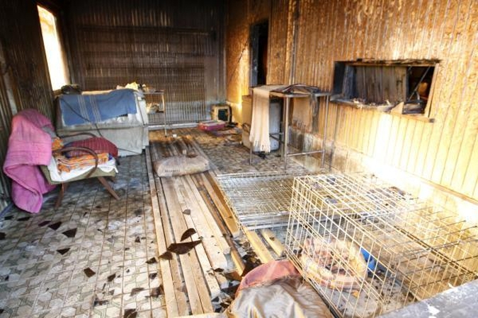 Gyvūnų prieglaudoje "5 pėdutės" įtariamas padegimas 
