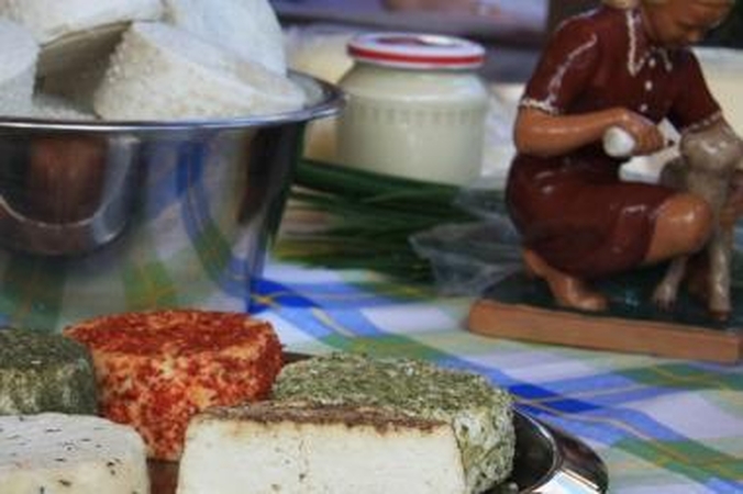 Migdomųjų pakaitalas – gabalėlis sūrio