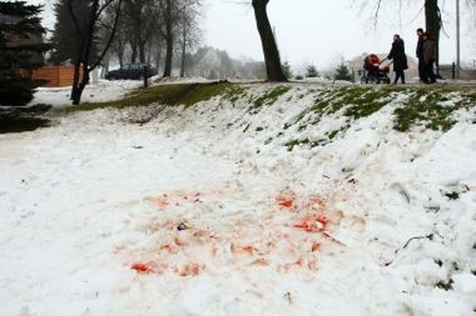 Suimtas sprogimo Rumšiškėse dalyvis