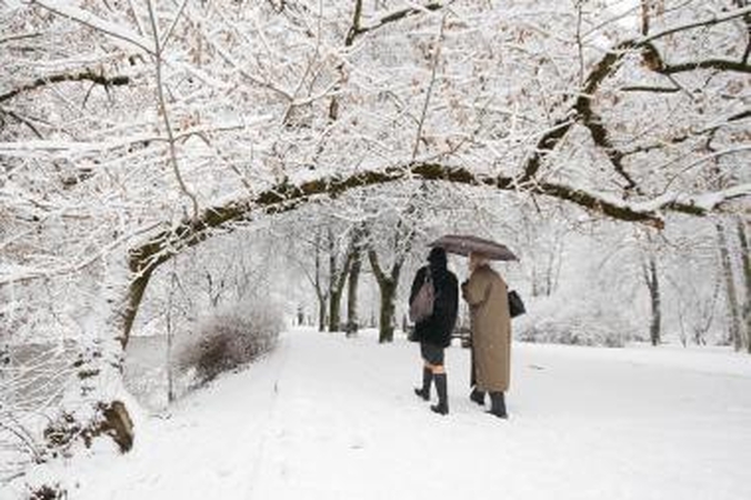 Europos parke atidengiama belgų menininko paroda