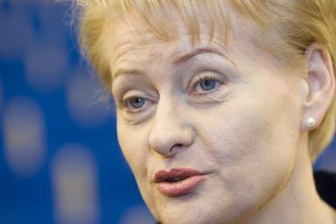 Prezidentė kelia ŠMM atsakomybės dėl pinigų skyrimo DPI klausimą