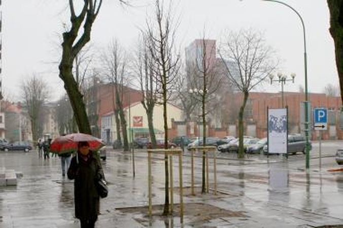 Uostamiestyje atsodinami medeliai