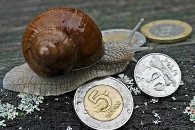 Vilnius siūlo Rygai ir Talinui skolintis kartu