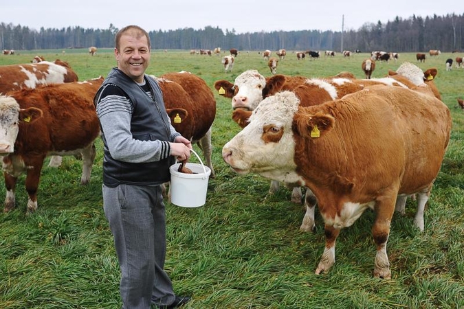 Kasdienis darbas ūkininkui geriau nei maljorkos ar karibai
