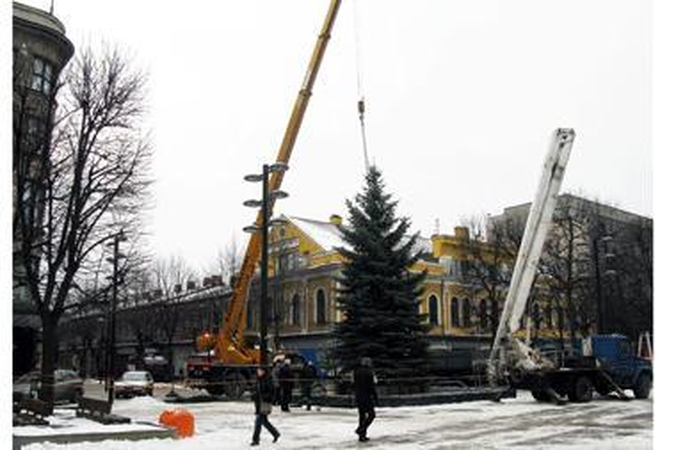 Laisvės alėjoje ir Vienybės aikštėje bus pastatytos kalėdinės eglutės