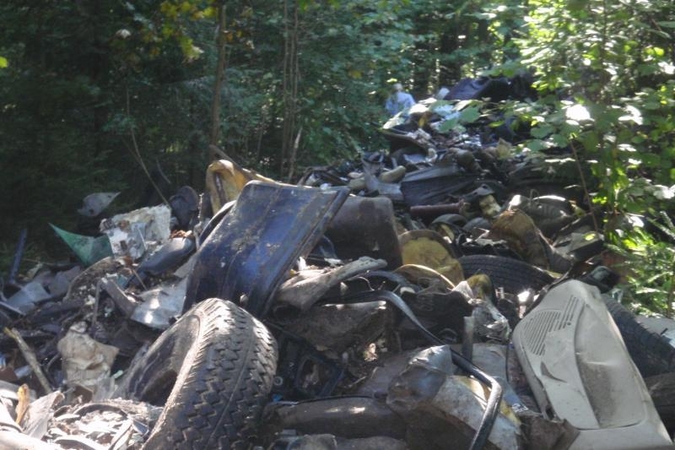 Lietuva gali pavirsti senų automobilių kapinynu?