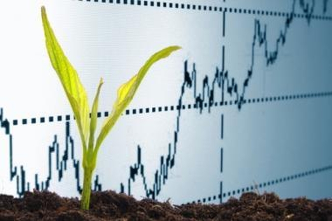 Vyriausybės ataskaita: viešieji finansai suvaldyti, ūkis auga