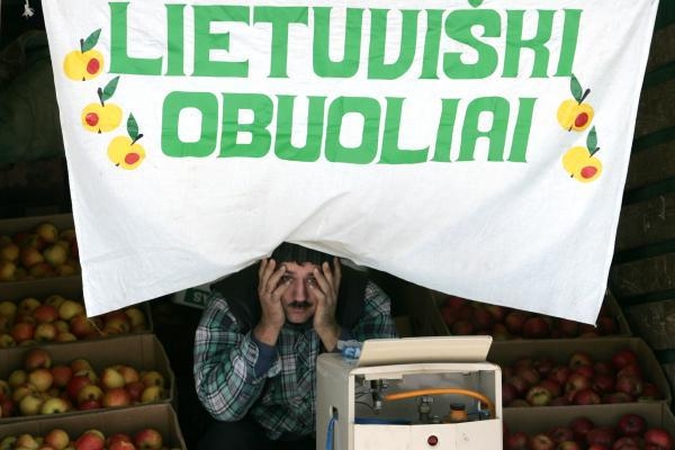 Lietuvoje išauginti obuoliai - viena nepaklausiausių prekių