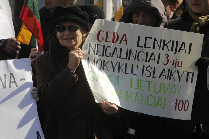 Patriotiniame mitinge - skirtingos pilietinės nuotaikos