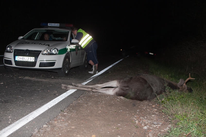 Žvėrims baidyti – švilpukai ant priešrūkinių žibintų 