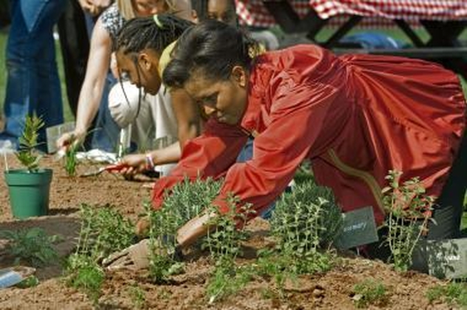 Michelle Obama parašys knygą apie Baltųjų rūmų daržą