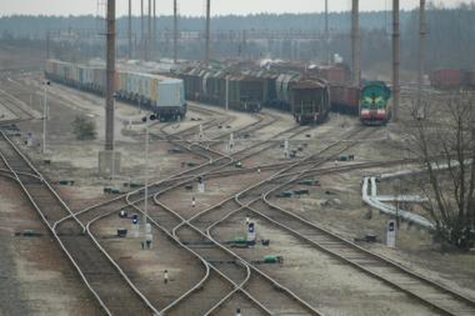 „Vikingo“ plėtrai vadovaus Koordinacinė taryba 