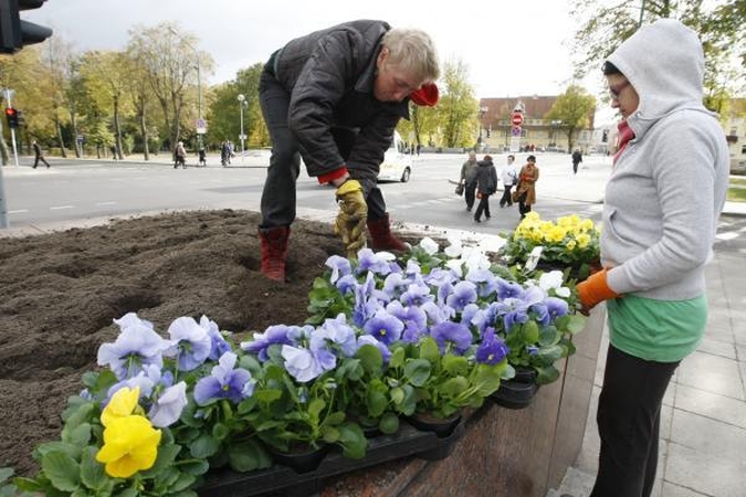 Vilniaus savivaldybės sutartys dėl miesto valymo – niekinės