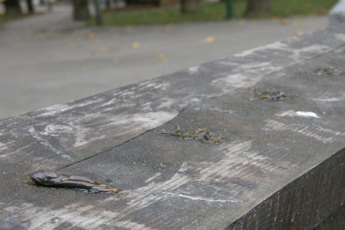 Atsargiai: nenustatytos kilmės mase ištepti suoliukai