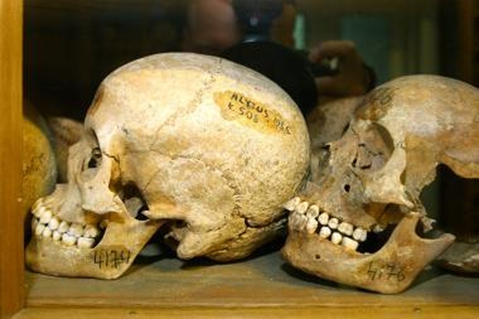 Viekšnių gimnazijoje rasta žmogaus kaukolė