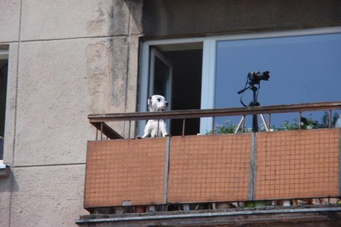 Ką daryti, jei kaimynas balkone šašlykus kepa?