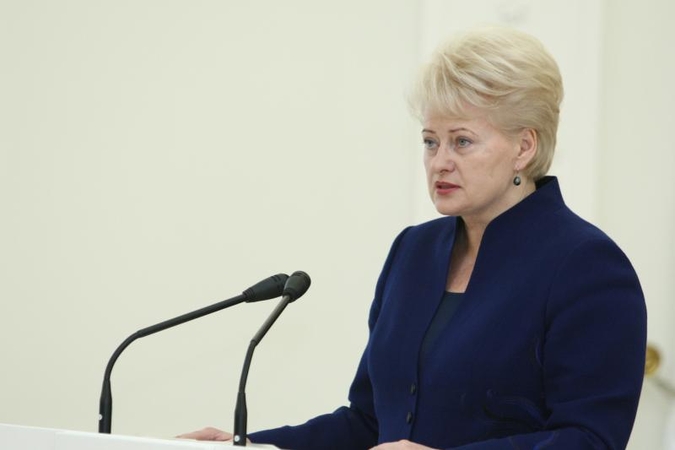 Prezidentė ragina institucijas įkurti vindikacijos tarnybas