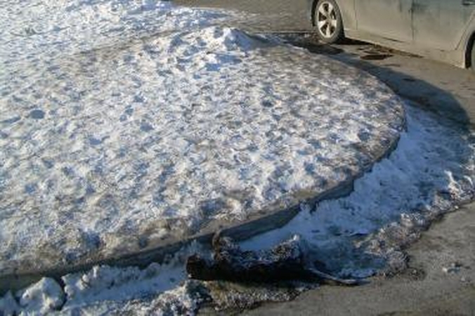 „Iki” pirkėjus Vaišvydavoje sutinka su pastipusia kate