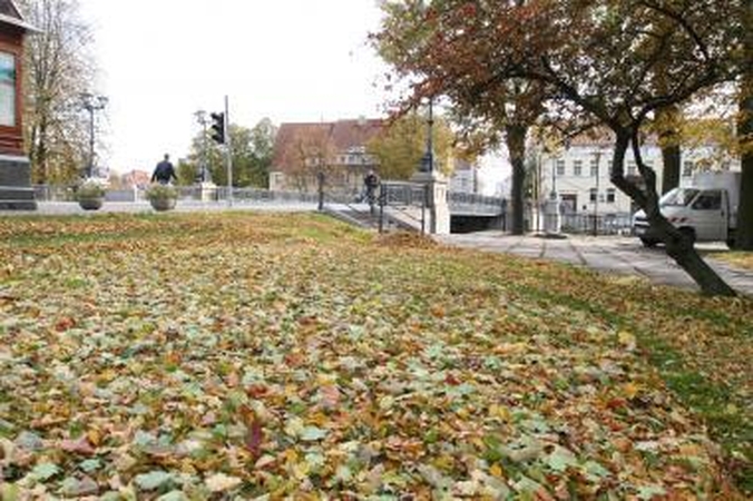 Kiemsargiai turės sušluoti po dvi tonas lapų