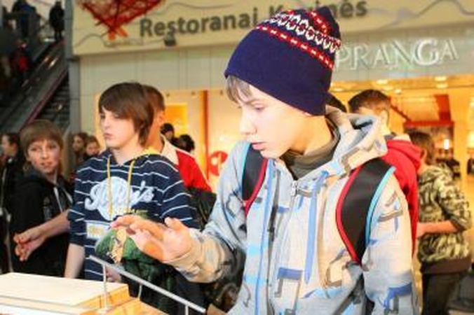Rinks mini riedlenčių čempioną