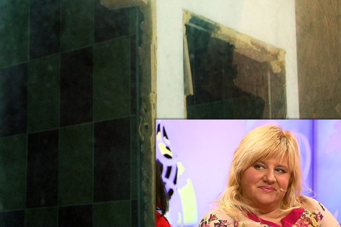 D. Bilevičiūtę ištiko šokas išvydus  jos svajonių sodybos  griuvėsius