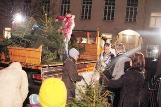 Mokytojų namuose: lik sveika, Kalėdų eglute