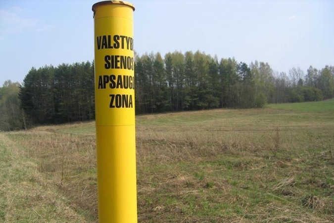 Rusai žada iki 2018 m. pagreitinti muitinės procedūras