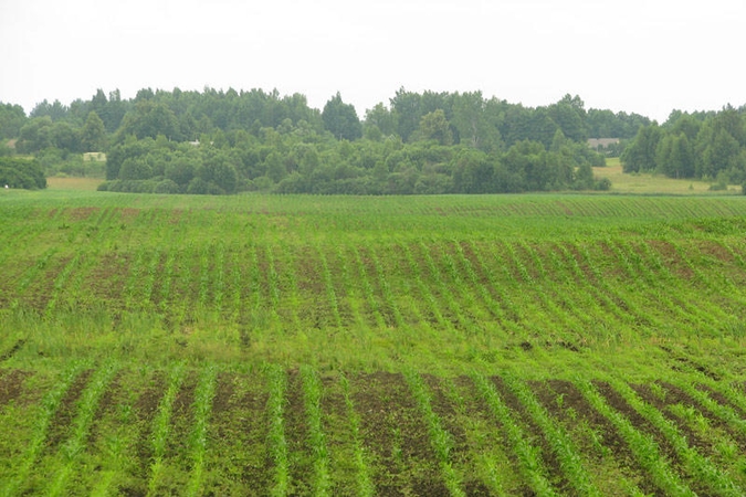 Draudimas užsieniečiams parduoti žemę galios iki 2014-ųjų (papildyta)
