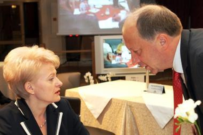 Reitingų lyderė - D.Grybauskaitė, A.Kubilius - antras