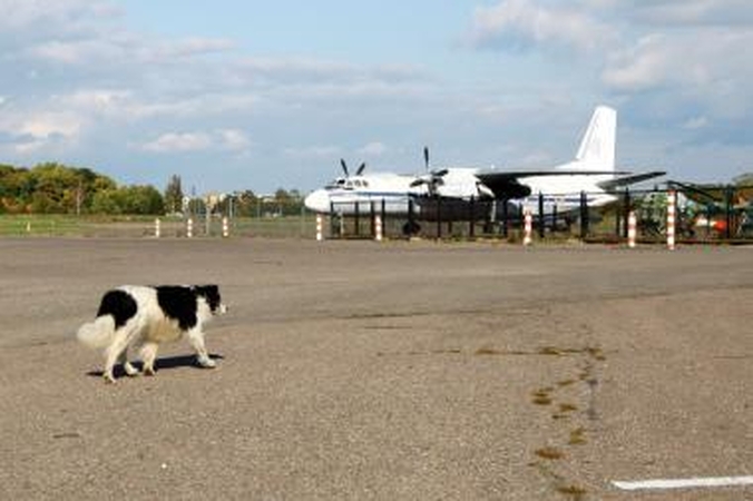Savivaldybė: S.Dariaus ir S.Girėno aerodromą išsaugoti reikia