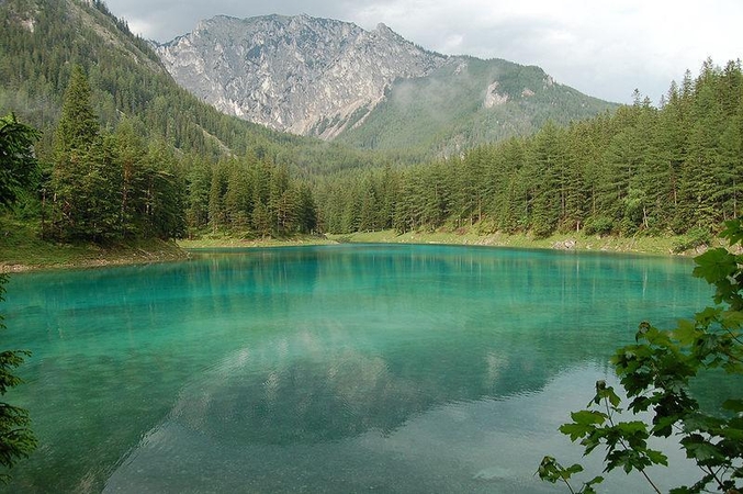 Žaliasis ežeras Austrijoje: parkas vasarą virsta ežeru