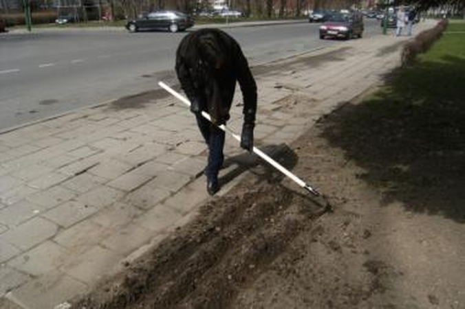 Vaikų namų auklėtiniai laukia ekologiškų gėrybių derliaus