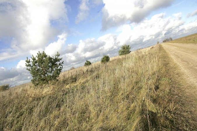 Lietuvoje stringa valstybinės žemės pardavimas
