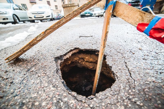 Kaune prasideda smegduobių          sezonas   