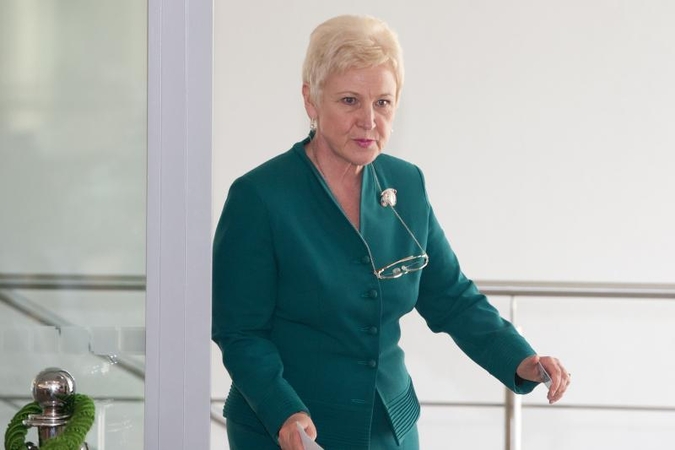 Seimo pirmininkė Čikagoje susitiko su vietos lietuvių bendruomene