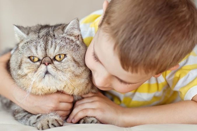 Vengrijoje kačių mylėtojai renkasi specialiose kavinėse 