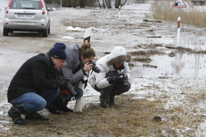 Potvynio zonoje savaitgalį gelbėjimo darbų vykdyti neteko