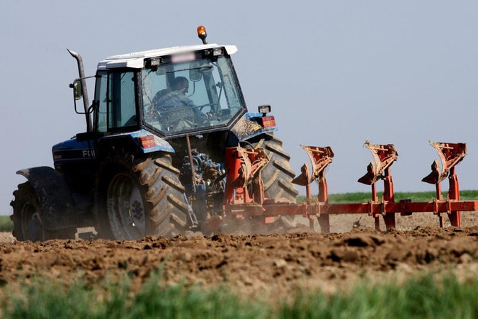 Bendrovės direktorius iššvaistė per pusės milijono vertės turtą