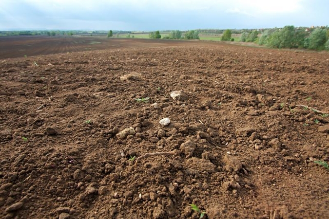 Žemdirbiai vėl prakalbo apie savišalpos fondą