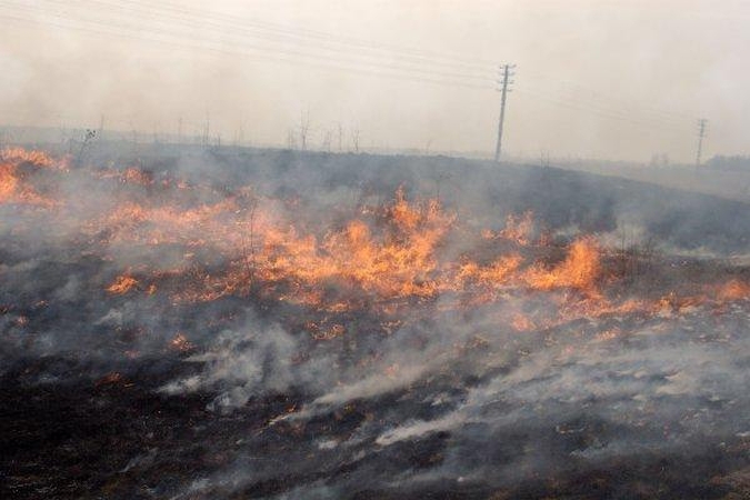 Kėdainių gaisrininkai kovoja su degančia žole