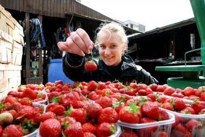 Braškės šiemet kainuos brangiai