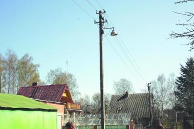 Sodų elektros tinklai sugundė verslininkus 