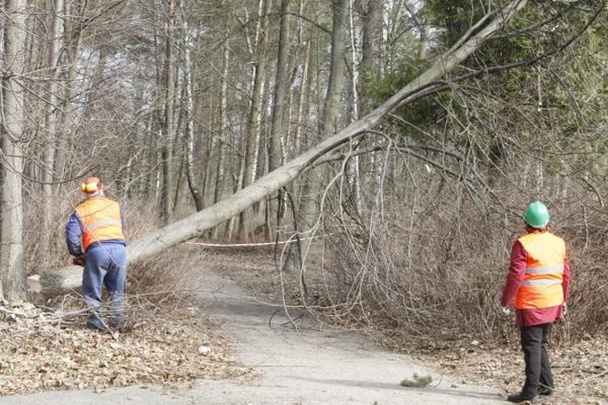 Tapusi "supermiestu", Klaipėda prisidės prie Poilsio parko kūrimo