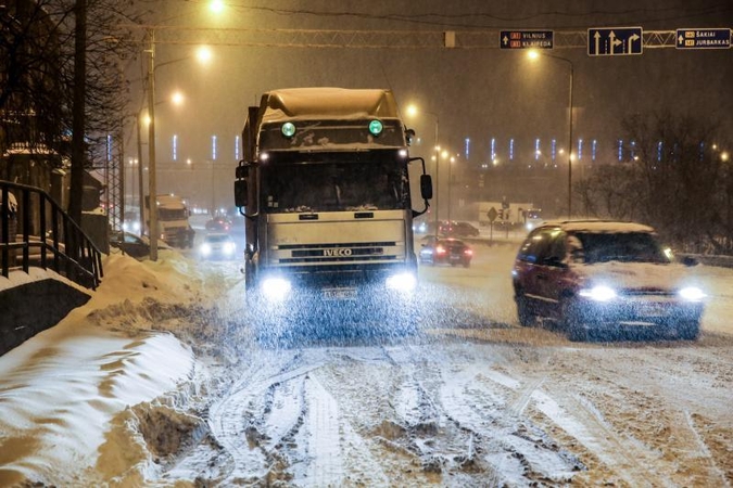 Vilkikas keliuose - ir žudikas, ir saugumo garantas