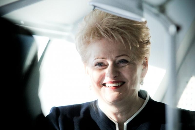 Apklausa: D. Grybauskaitė turėtų kandidatuoti antrai kadencijai