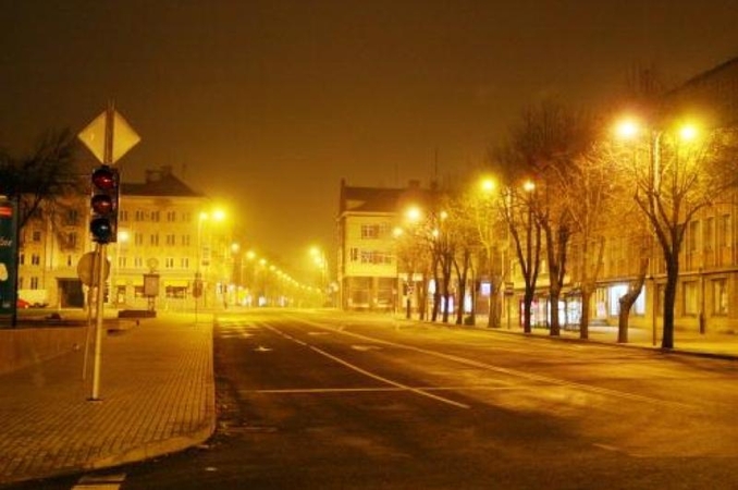 Rekordinis skaičius valstybių ruošiasi „Žemės valandai"