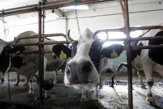 „Agrowill Group" išpirko jau trečiąją obligacijų emisiją