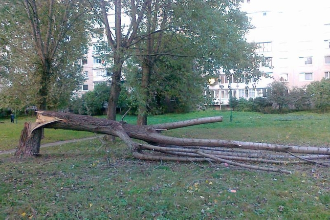 Nulūžęs medis ir atsakingų tarnybų vangumas siutina gyventojus