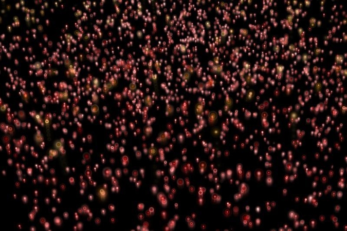 LHC rastos lengvo Higso bozono užuominos